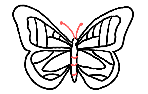  how to draw step by step butterfly drawing easy  - EasystepDrawing