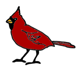 easy step by step cardinal drawing - EasystepDrawing