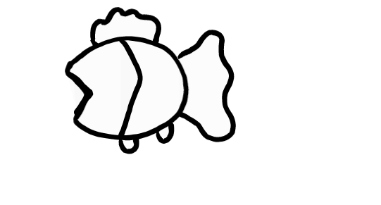  how to draw step by step clownfish drawing easy  - EasystepDrawing