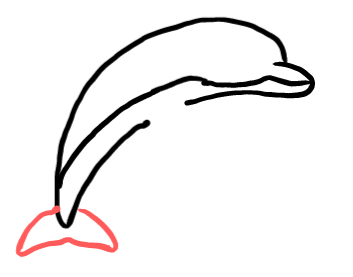  how to draw step by step dolphin drawing easy  - EasystepDrawing