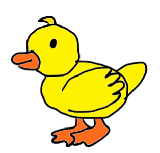 easy step by step duck drawing - EasystepDrawing