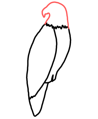  how to draw step by step eagle drawing easy  - EasystepDrawing