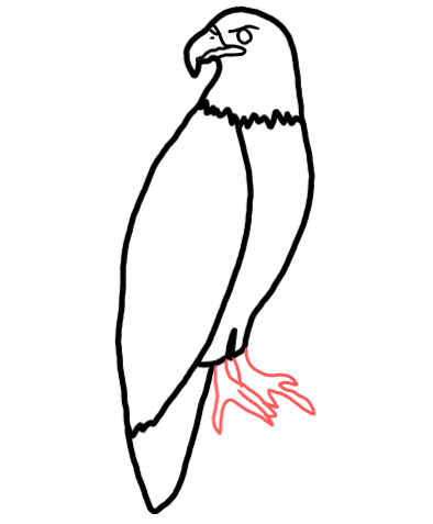  how to draw step by step eagle drawing easy  - EasystepDrawing