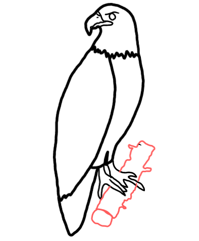  how to draw step by step eagle drawing easy  - EasystepDrawing