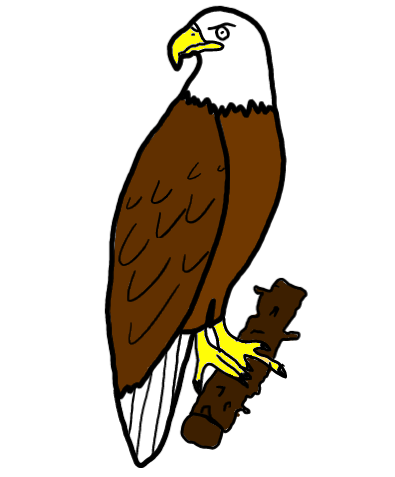 easy step by step eagle drawing - EasystepDrawing