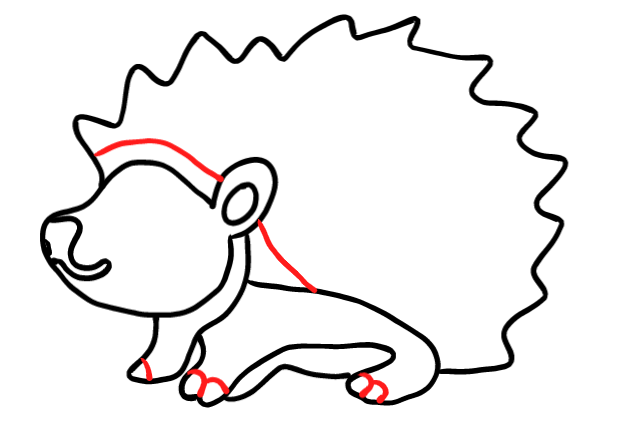  how to draw step by step hedgehog drawing easy  - EasystepDrawing