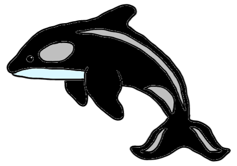 easy step by step orca drawing - EasystepDrawing