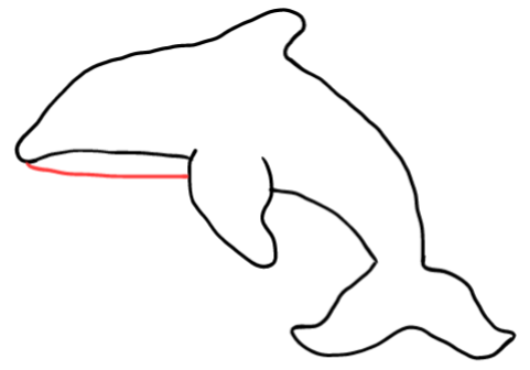  how to draw step by step orca drawing easy  - EasystepDrawing