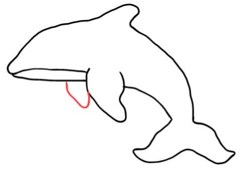  how to draw step by step orca drawing easy  - EasystepDrawing