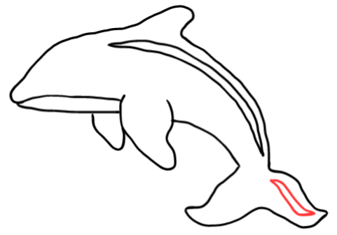  how to draw step by step orca drawing easy  - EasystepDrawing