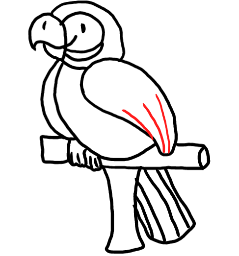  how to draw step by step parrot drawing easy  - EasystepDrawing