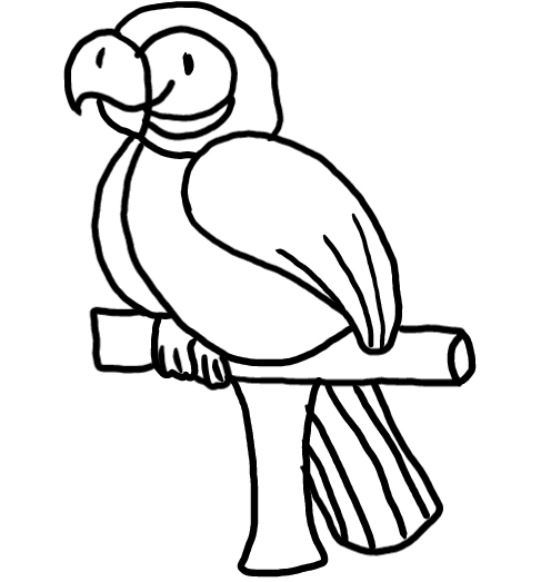  how to draw step by step parrot drawing easy  - EasystepDrawing