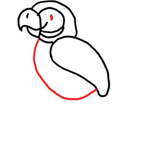  how to draw step by step parrot drawing easy  - EasystepDrawing