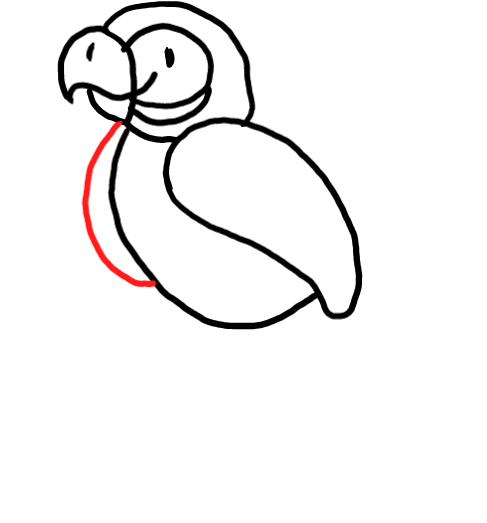  how to draw step by step parrot drawing easy  - EasystepDrawing