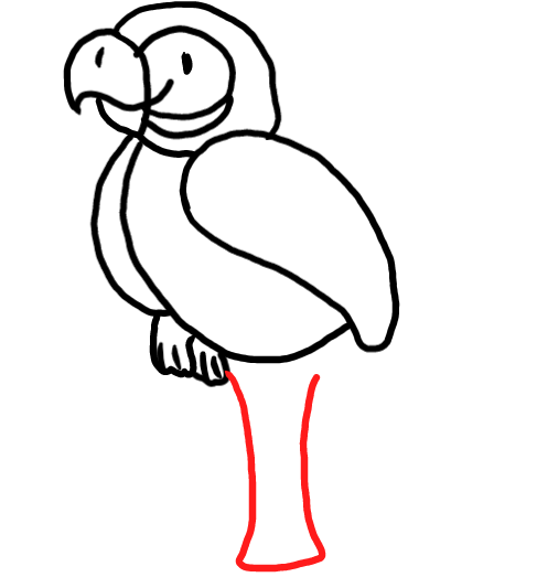  how to draw step by step parrot drawing easy  - EasystepDrawing