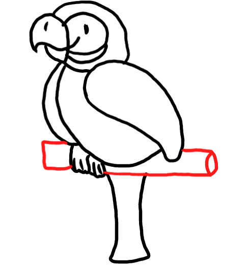  how to draw step by step parrot drawing easy  - EasystepDrawing