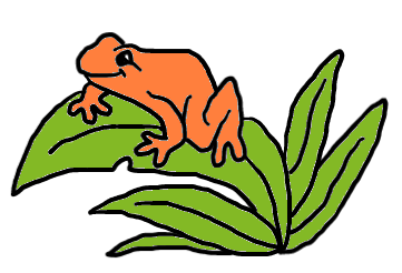 easy step by step poisonousfrog drawing - EasystepDrawing