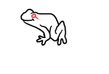  how to draw step by step poisonousfrog drawing easy  - EasystepDrawing