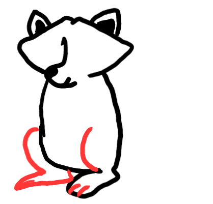  how to draw step by step racoon drawing easy  - EasystepDrawing