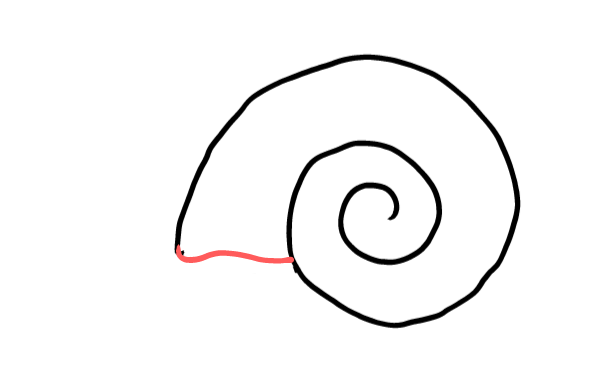  how to draw step by step snail0 drawing easy  - EasystepDrawing