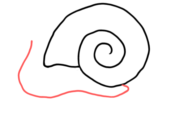  how to draw step by step snail0 drawing easy  - EasystepDrawing