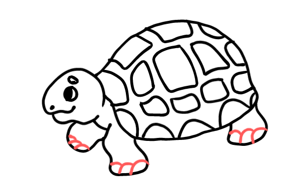  how to draw step by step turtle drawing easy  - EasystepDrawing