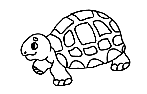  how to draw step by step turtle drawing easy  - EasystepDrawing