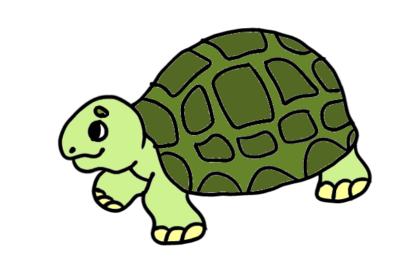 easy step by step turtle drawing - EasystepDrawing