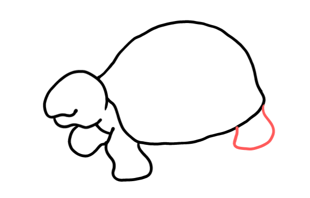  how to draw step by step turtle drawing easy  - EasystepDrawing