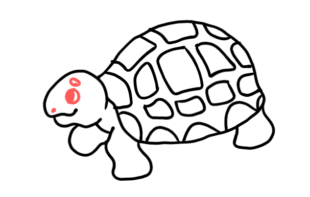  how to draw step by step turtle drawing easy  - EasystepDrawing