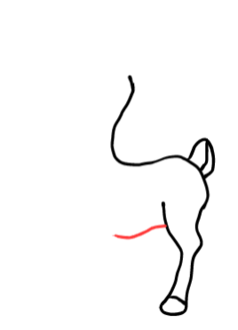  how to draw step by step rudolphreindeer drawing easy  - EasystepDrawing