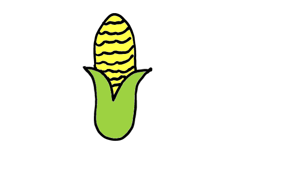 easy step by step corn drawing - EasystepDrawing