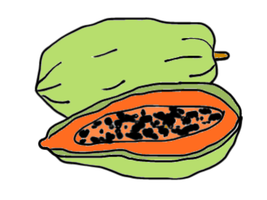 easy step by step papaya drawing - EasystepDrawing