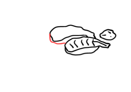  how to draw step by step sushi drawing easy  - EasystepDrawing