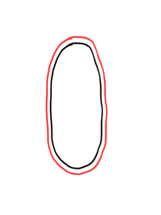  how to draw step by step mirror drawing easy  - EasystepDrawing