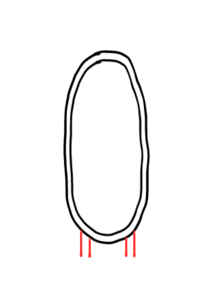  how to draw step by step mirror drawing easy  - EasystepDrawing