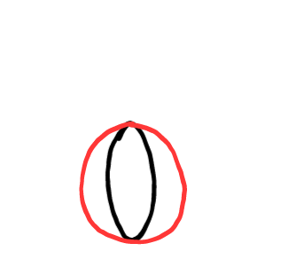  how to draw step by step pumpkin drawing easy  - EasystepDrawing