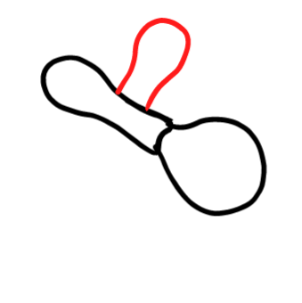  how to draw step by step maracas drawing easy  - EasystepDrawing