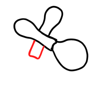  how to draw step by step maracas drawing easy  - EasystepDrawing