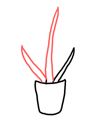  how to draw step by step aloevera drawing easy  - EasystepDrawing