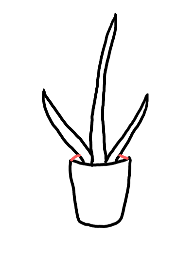  how to draw step by step aloevera drawing easy  - EasystepDrawing