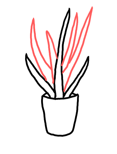  how to draw step by step aloevera drawing easy  - EasystepDrawing