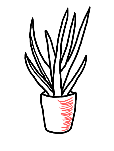  how to draw step by step aloevera drawing easy  - EasystepDrawing