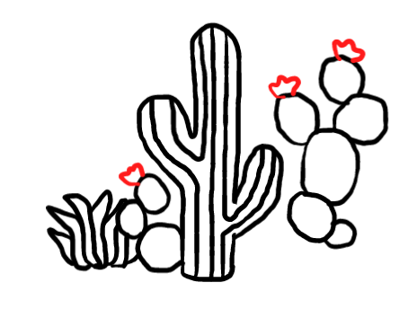  how to draw step by step cactus drawing easy  - EasystepDrawing