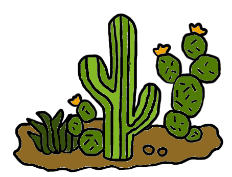 easy step by step cactus drawing - EasystepDrawing