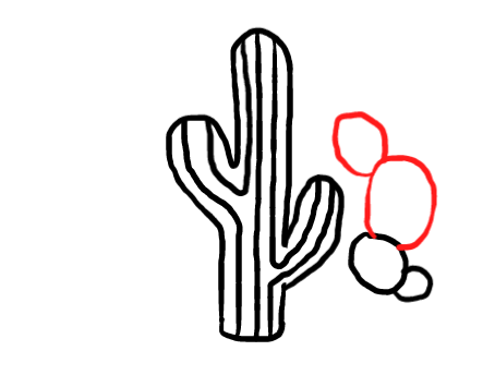  how to draw step by step cactus drawing easy  - EasystepDrawing