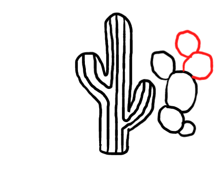  how to draw step by step cactus drawing easy  - EasystepDrawing