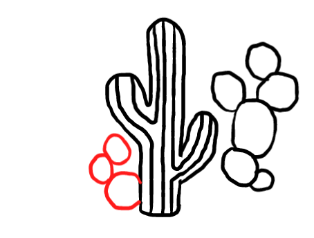  how to draw step by step cactus drawing easy  - EasystepDrawing